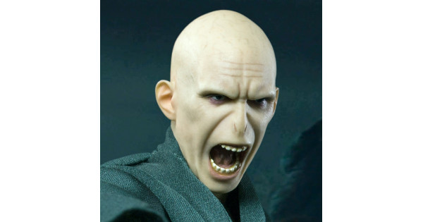 ジャンク STARACE TOYS ヴォルデモート 1/8 ホットトイズ系 Amazon | スターエーストイズ リアルマスターシリーズ ロード